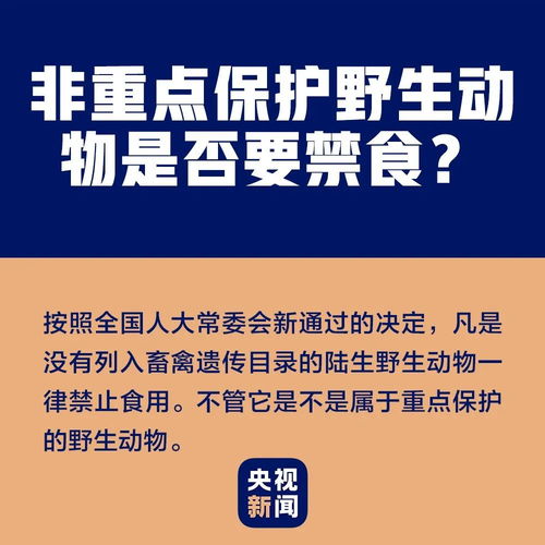 如何避免目录查重中的误判？这些技巧很有用