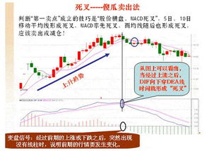 ccl指标的用法