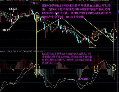 股票上升趋势做t打掉一部分买 不回来怎么办从新 高价买回来吗