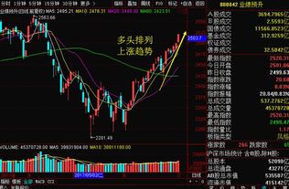 西部建设4月8日解禁股票发行价多少