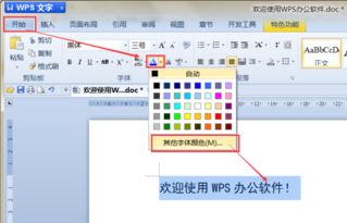 怎么在wps中设置字体颜色 