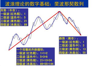 如何划分波浪