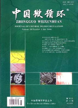 中国微循环杂志 2006年03期 