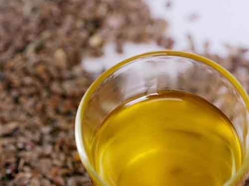 茶花籽油功效与作用及食用方法