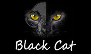 黑猫游戏下载 黑猫Black Cat中文版下载 3DM单机 