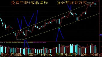 如何炒股，有什么入门技巧