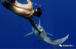 18岁时,他被鲨鱼咬断了一条腿 18年后,他依然在跟鲨鱼们各种浪