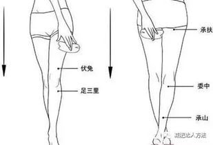 怎样减肌肉型小腿 肌肉型小腿有救啦 两周统统瘦下来