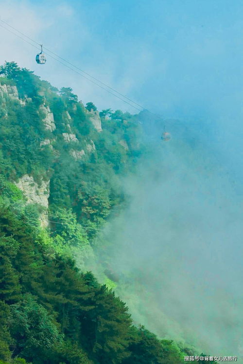 山东泰山 人生必爬的一座山,领略不一样的东岳之美