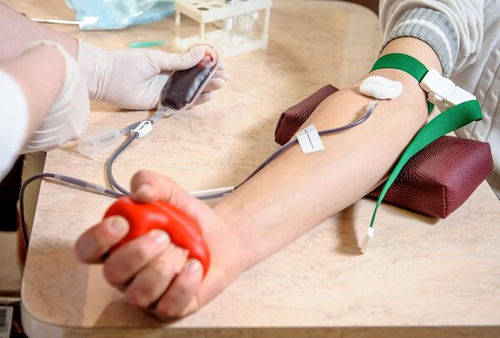 经期献血 生理期可以献血吗