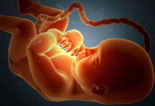 原创胎动在左侧还是右侧，与男宝女宝有关系吗？看完你就知道答案了！