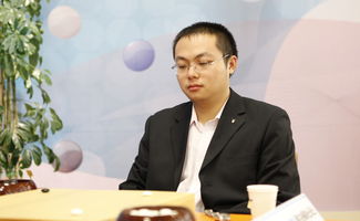 2013中国棋手包揽世界六冠 诞生六位新冠军 
