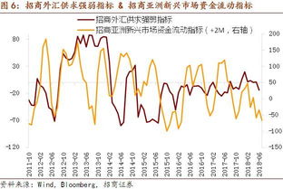 怎样理解我国的汇率机制