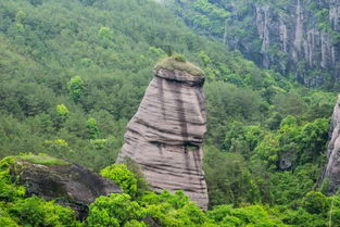 冠豸山小孩门票 (三门县免费停车场)