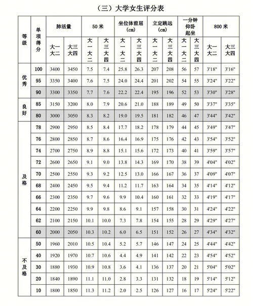 大学生体测成绩 项目 所占百分比 