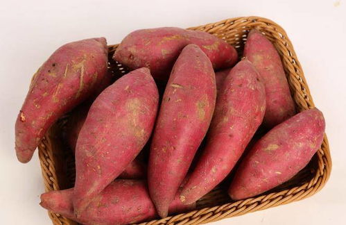冬季都爱吃红薯,禁忌很少人清楚,专家解答红薯的 3禁忌