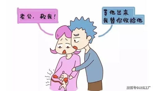 怀胎十月,我们可爱的胎宝宝在子宫里都做些什么呢