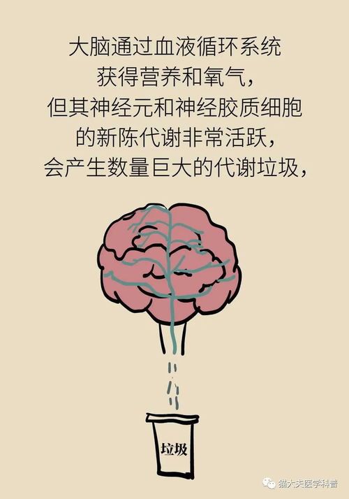 睡眠日丨睡不好的后果远比你想得更严重,你可能会变傻