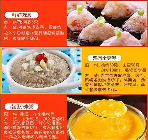 为什么不建议买辅食机呢(要买辅食机吗)