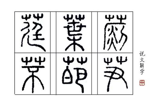 古代中字的解释词语（姓氏中字什么意思？）