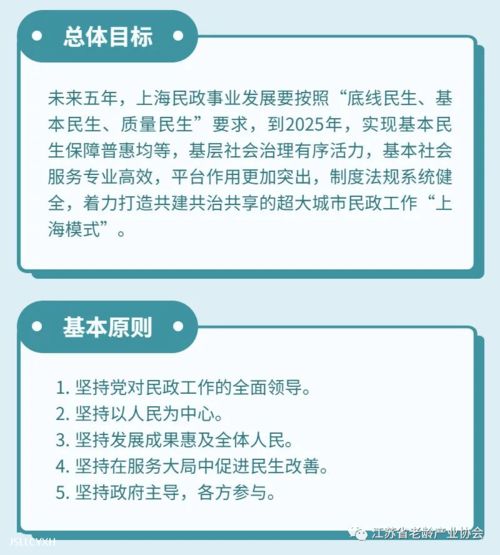 维普网查重注意事项详解，轻松提升查重效率