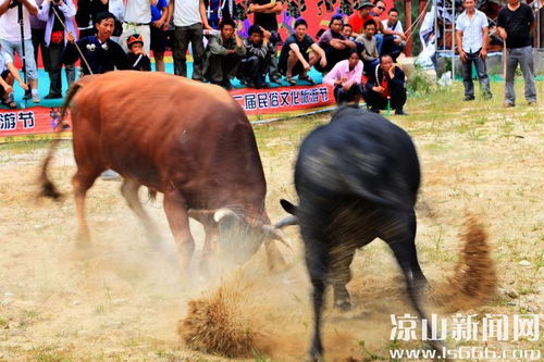 国际原油期货的资金杠杆比例是多少？