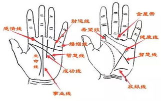 天生富贵的8种手相,手握此纹,必定大富大贵