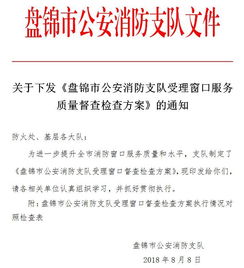 盘锦市公安消防支队受理窗口服务质量督查检查方案 