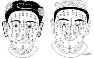 相面术入门基础 面相总框架 麻衣相法