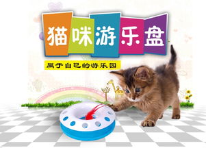 中恒 新款圆盘猫玩具 逗猫玩具 多规格可选