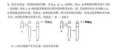 必背必会重点词语解释  出纳岗位面试技巧和注意事项？