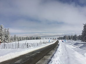 梦见白雪皑皑银装素裹(做梦梦见皑皑白雪)