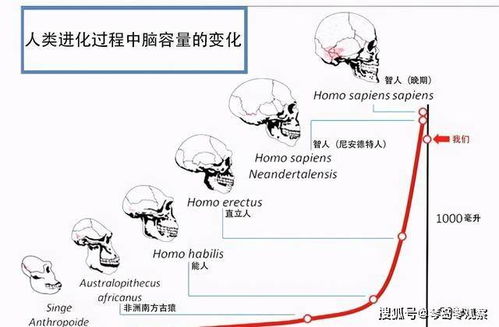 医学 一夫一妻导致自然选择失效,人类进化停止 研究 正在加速