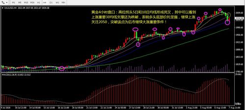 大非农行情 有时候会反的吗 是利空他就利好 有时候会是陷阱吗 还有就是 一般都赚的吗