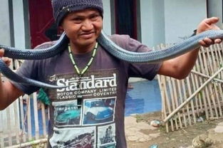 农夫与蛇 印尼一男子给宠物蛇洗澡时被其勒死