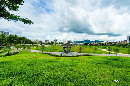 石岩湿地公园好停车吗(深圳石岩湿地公园停车场收费标准)