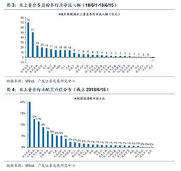 内资为何意