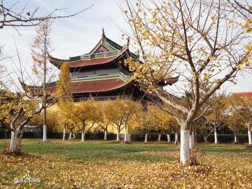 海天禅寺,江苏海天禅寺,苏州海天禅寺,江苏苏州海天禅寺 无量光明佛教网 