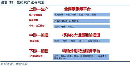 四川XXXXXLMEDJYF活动火爆,带你全面解析最新报名指南