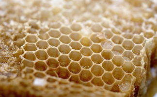 蜂胶怎么吃，蜂胶怎么吃每天吃多少