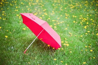 谷雨时节雨绵绵 四月人气雨伞必网购