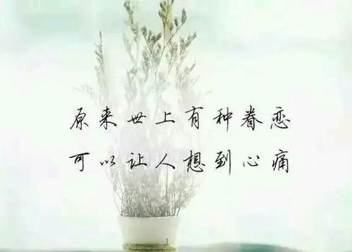 想念是爱的表达,爱着想着,一个爱字美醉心扉,一个想字心痛似碎