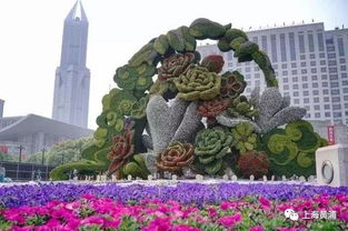 全市最大立体花坛亮相人广 以白玉兰等花卉为主要图案 