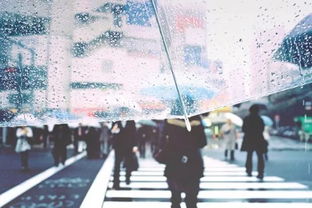 余光中 听听那冷雨