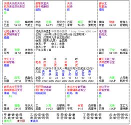 帮我看下紫薇命盘 