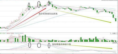 怎样熟练运用macd的顶，底背离掌握买卖点