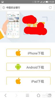 农业银行商户收款码app是什么名字