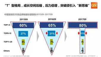 手机市场细分方案模板范文  手机市场容量或变化趋势怎么写？