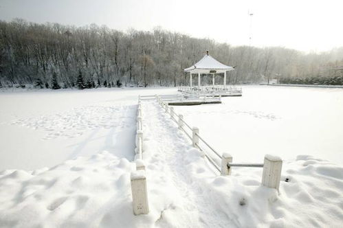 中国各大省市雪景排名 鄢陵将人排在......