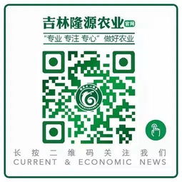 中化复合肥48%16—16—16多少钱一吨，腾升复合肥48%16—16—16多少钱一吨